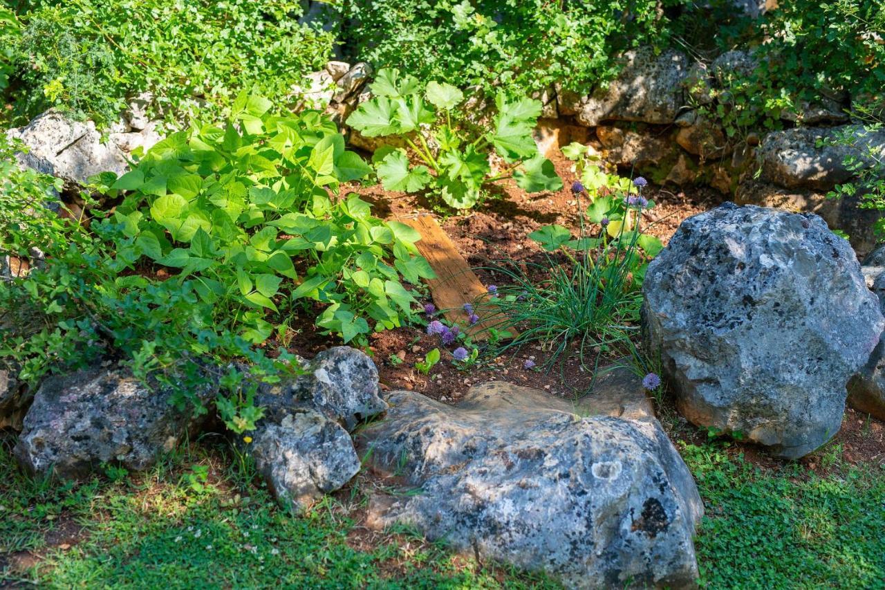 Vila Anka Βίλα Malinska Εξωτερικό φωτογραφία